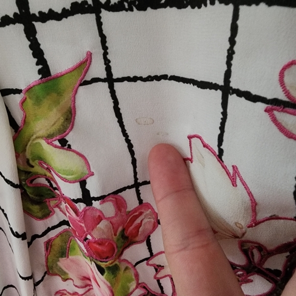 Rococo Sand 100% Silk Embroidered Floral Mini Dress - Picture 6 of 9